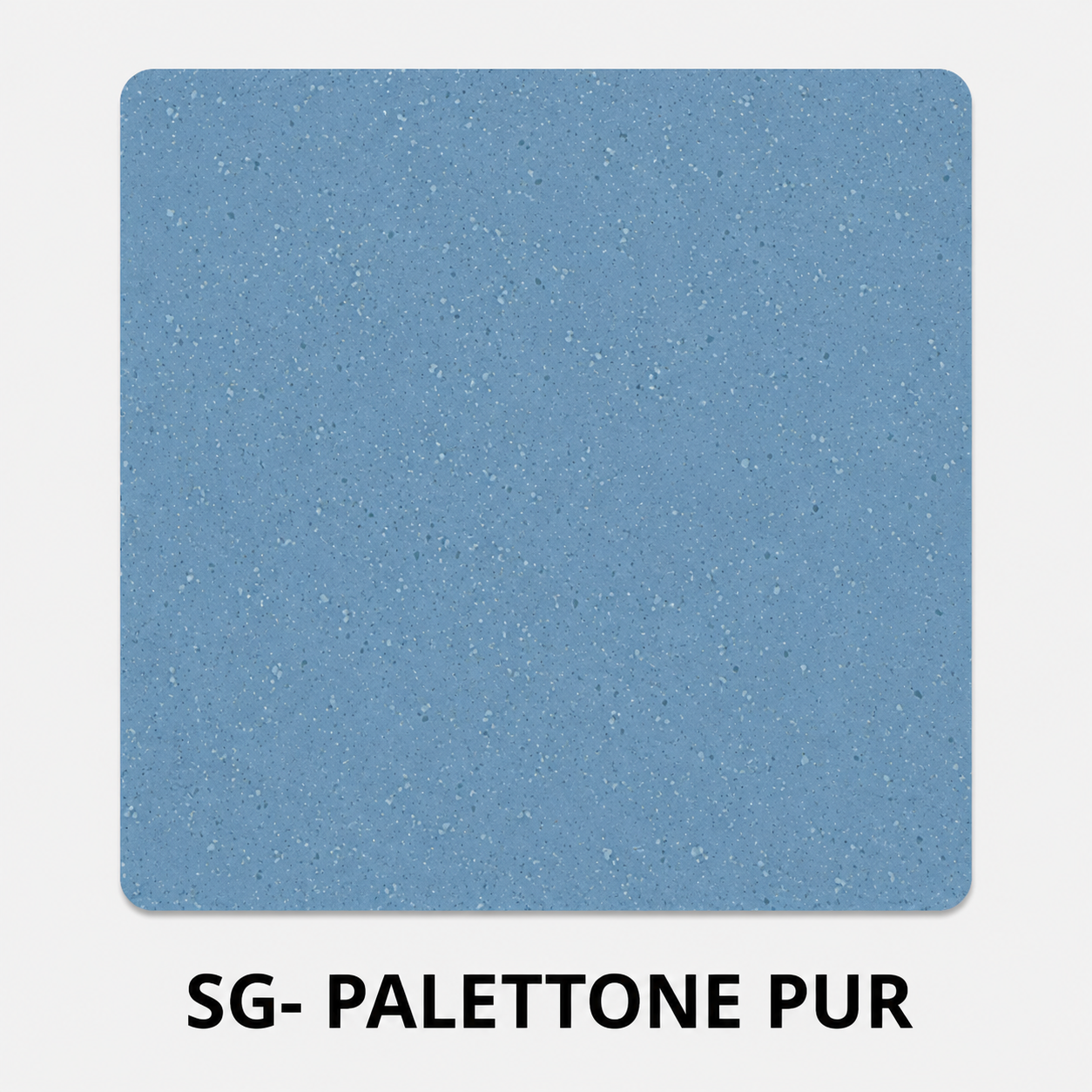 01_SG_PALETTONE_PUR