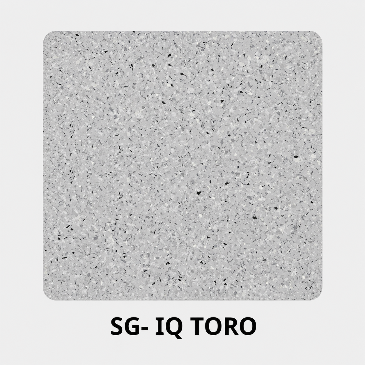 06_SG_IQ_TORO
